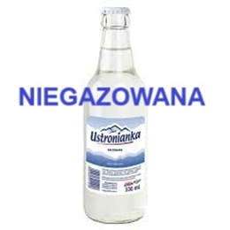 Woda NIEGAZOWANA 0,33